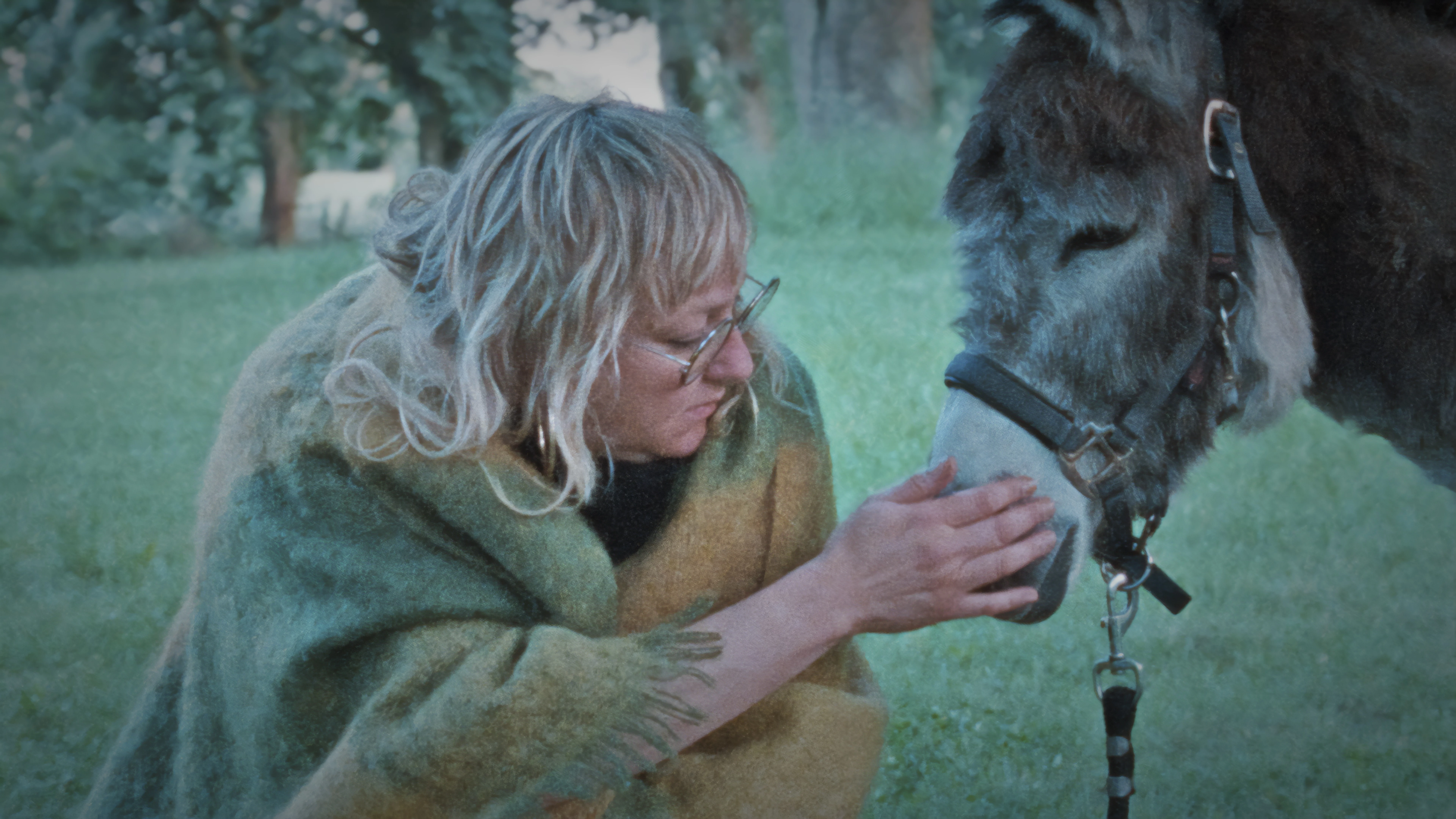 Donkey Days_still2