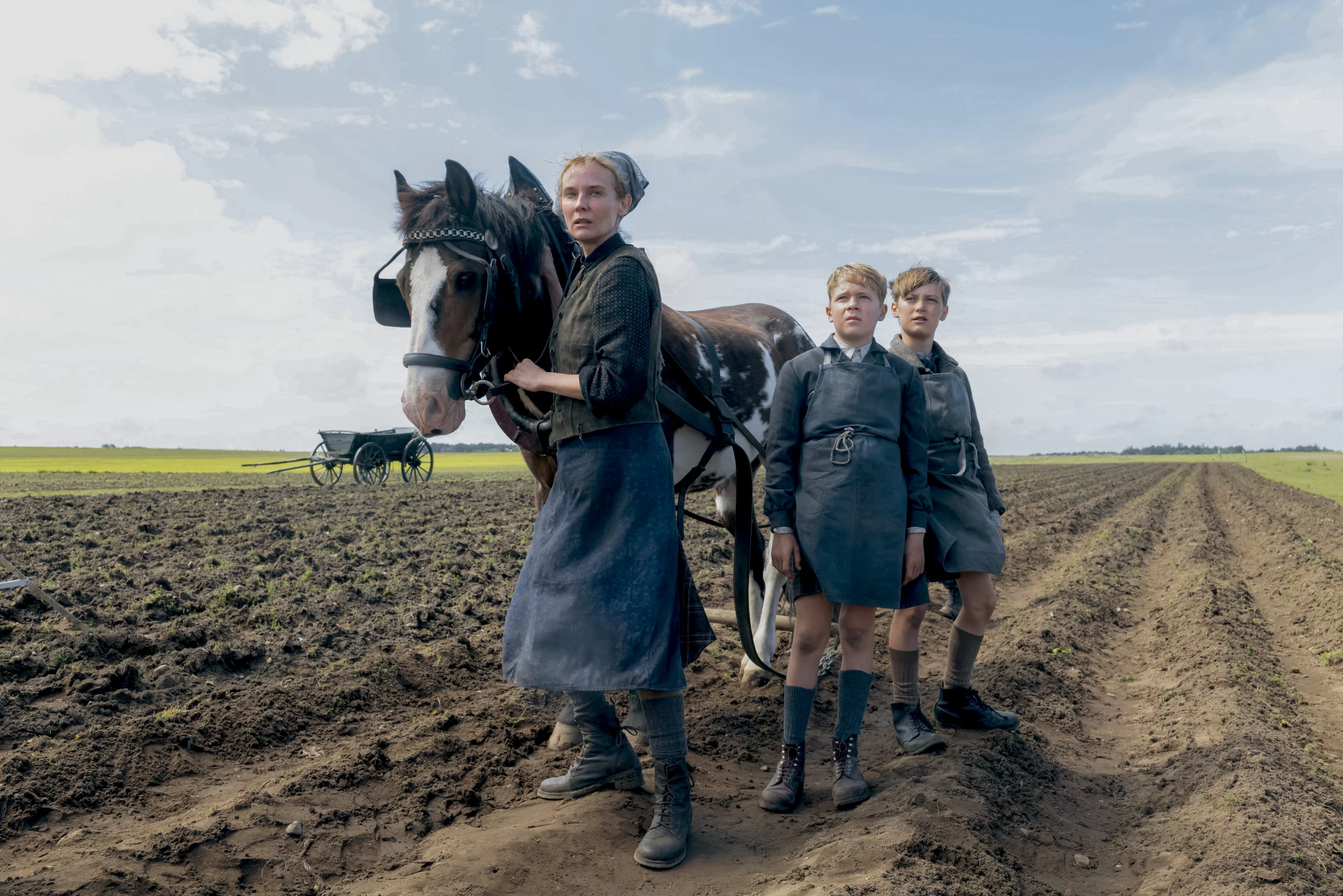 Cover: Amrum